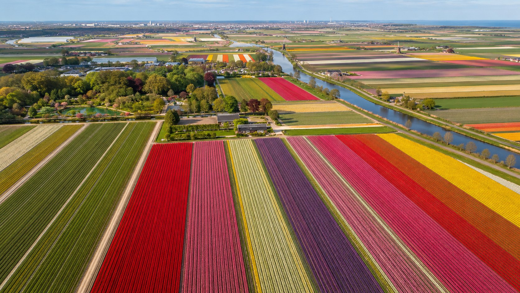 Keukenhof — Spring bulb garden in Lisse, Netherlands